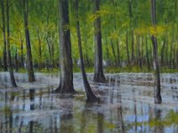 Palude con alberi  Olio su cartone telato - 30 x 40